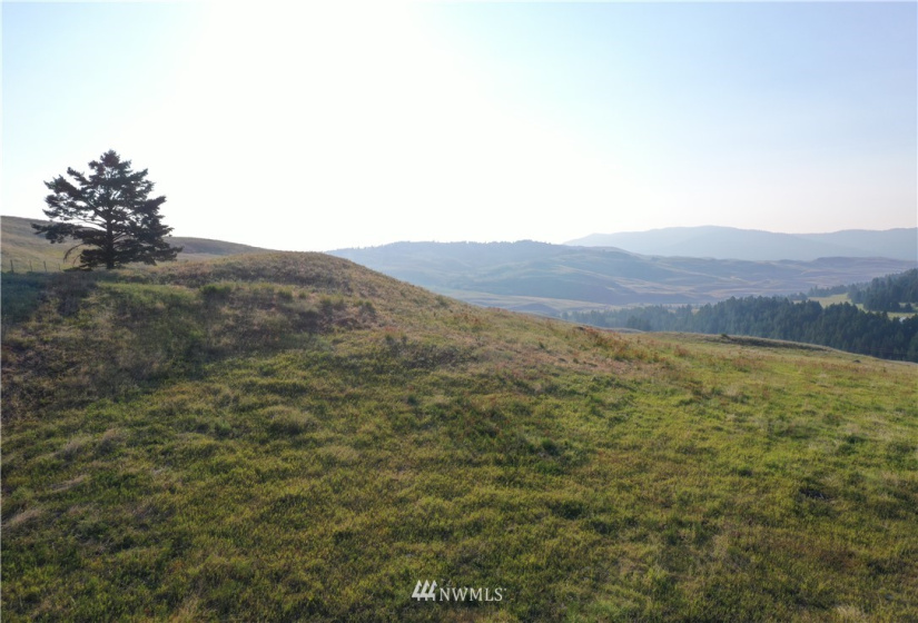 367 B Mary Anne Creek, Oroville, Washington 98844, ,Land,For Sale,Mary Anne Creek,NWM1829742