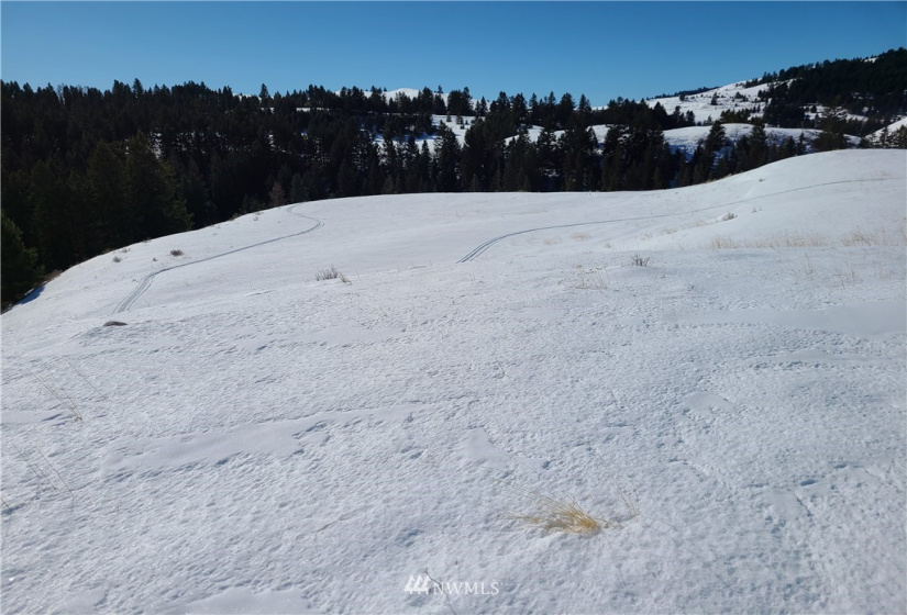 367 B Mary Anne Creek, Oroville, Washington 98844, ,Land,For Sale,Mary Anne Creek,NWM1829742