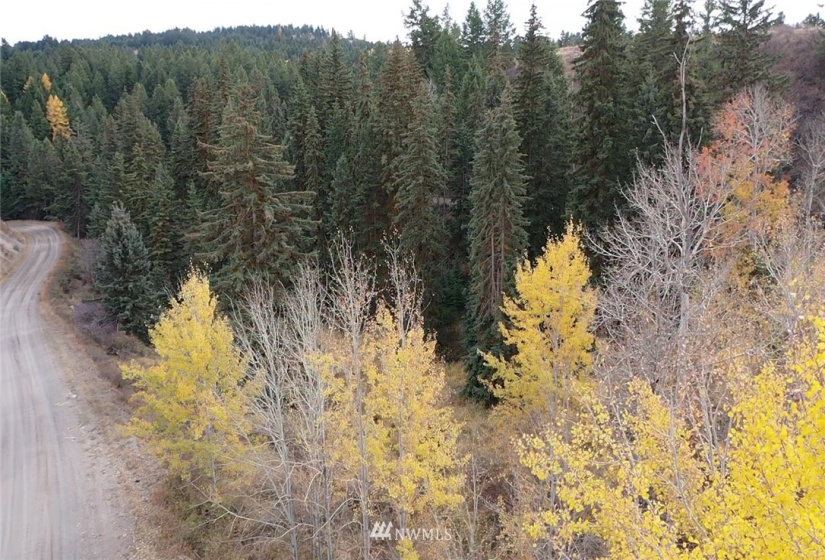 367 B Mary Anne Creek, Oroville, Washington 98844, ,Land,For Sale,Mary Anne Creek,NWM1829742