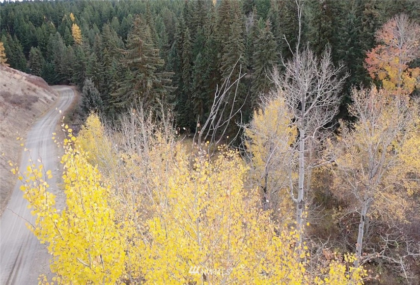 367 B Mary Anne Creek, Oroville, Washington 98844, ,Land,For Sale,Mary Anne Creek,NWM1829742