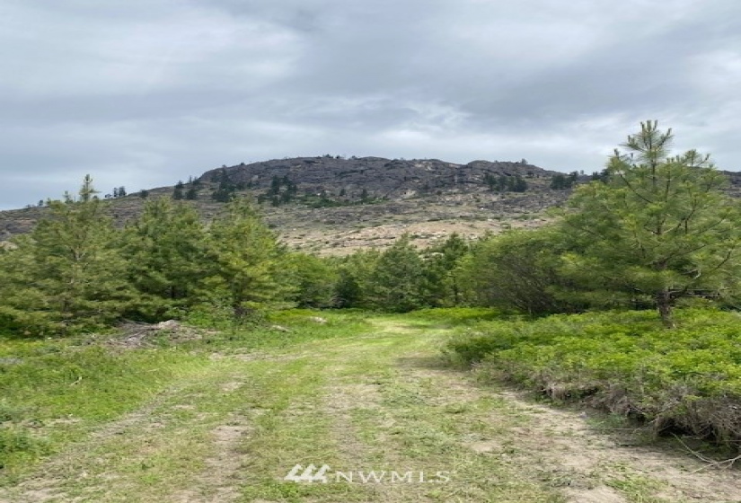 431 Swanson Mill, Oroville, Washington 98844, ,Land,For Sale,Swanson Mill,NWM1830334