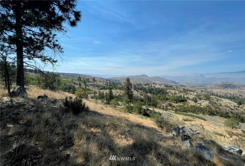 431 Swanson Mill, Oroville, Washington 98844, ,Land,For Sale,Swanson Mill,NWM1830334