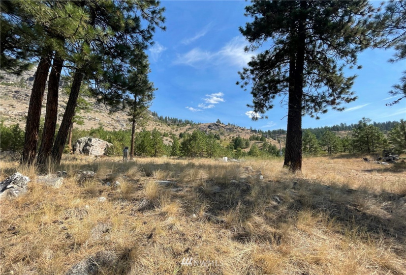 431 Swanson Mill, Oroville, Washington 98844, ,Land,For Sale,Swanson Mill,NWM1830334