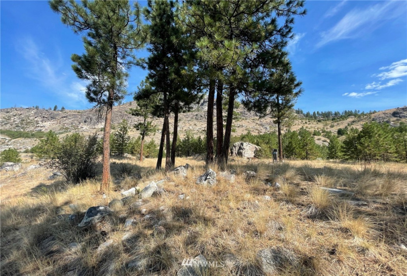 431 Swanson Mill, Oroville, Washington 98844, ,Land,For Sale,Swanson Mill,NWM1830334