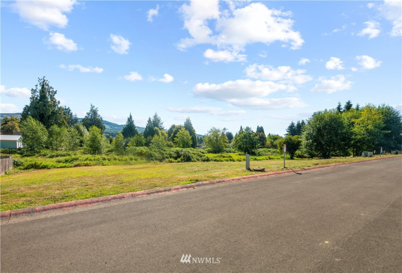 120 Glengate, Cathlamet, Washington 98612, ,Land,For Sale,Glengate,NWM1830404