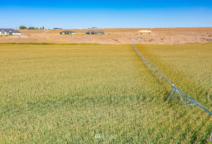 5024 McConihe, Moses Lake, Washington 98837, 7 Bedrooms Bedrooms, ,4 BathroomsBathrooms,Residential,For Sale,RANCHLAND ESTATES PHASE 1,McConihe,NWM1830292