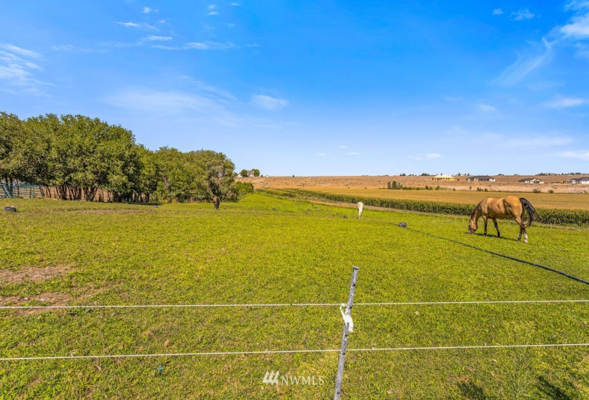 5024 McConihe, Moses Lake, Washington 98837, 7 Bedrooms Bedrooms, ,4 BathroomsBathrooms,Residential,For Sale,RANCHLAND ESTATES PHASE 1,McConihe,NWM1830292