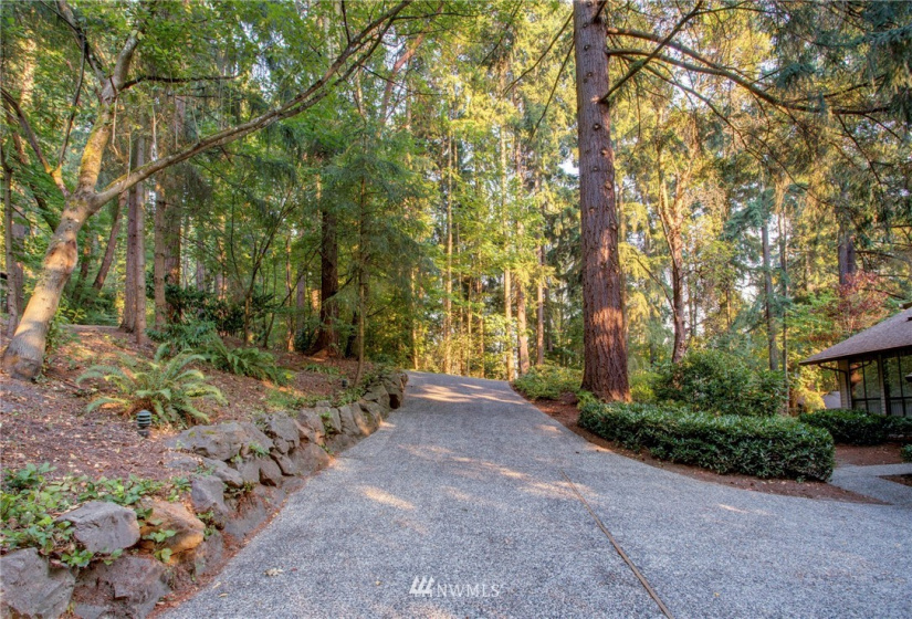 2647 120th, Bellevue, Washington 98005, ,Land,For Sale,Pike's Peak,120th,NWM1830752