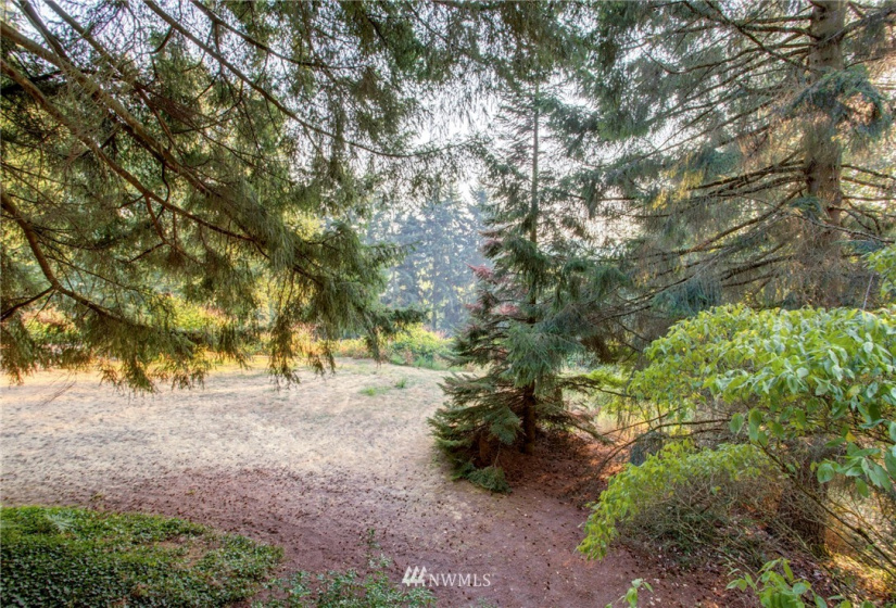 2647 120th, Bellevue, Washington 98005, ,Land,For Sale,Pike's Peak,120th,NWM1830752