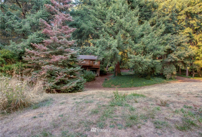 2647 120th, Bellevue, Washington 98005, ,Land,For Sale,Pike's Peak,120th,NWM1830752