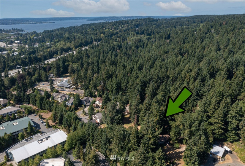 2647 120th, Bellevue, Washington 98005, ,Land,For Sale,Pike's Peak,120th,NWM1830752