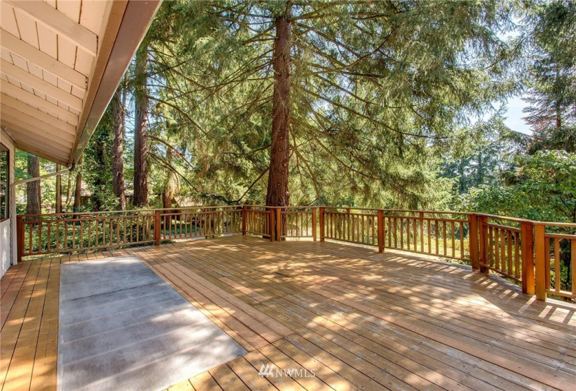 2647 120th, Bellevue, Washington 98005, ,Land,For Sale,Pike's Peak,120th,NWM1830752