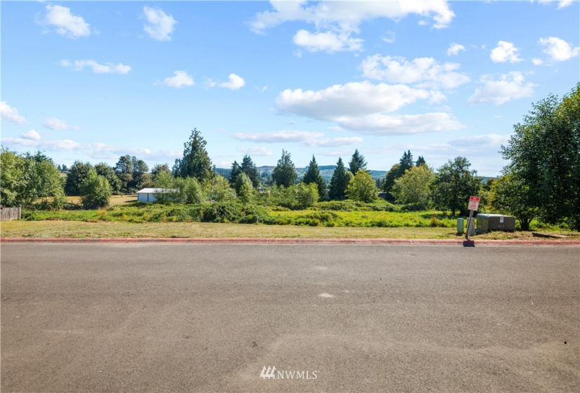 100 Glengate, Cathlamet, Washington 98612, ,Land,For Sale,Glengate,NWM1830389