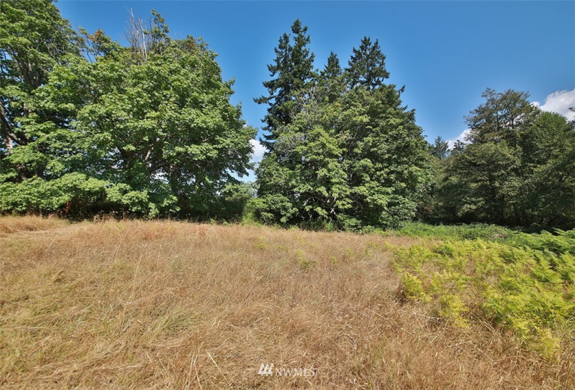 0 Double Bluff, Freeland, Washington 98249, ,Land,For Sale,Double Bluff,NWM1830611