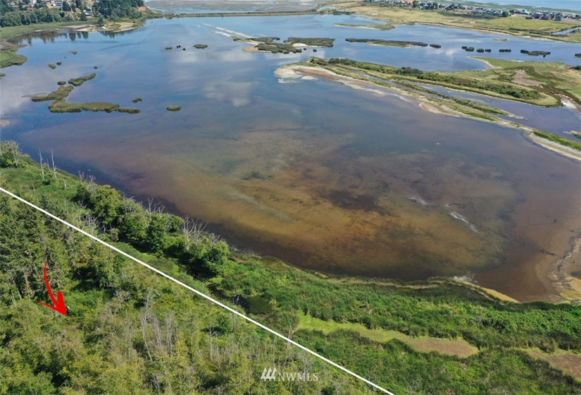 0 Double Bluff, Freeland, Washington 98249, ,Land,For Sale,Double Bluff,NWM1830611