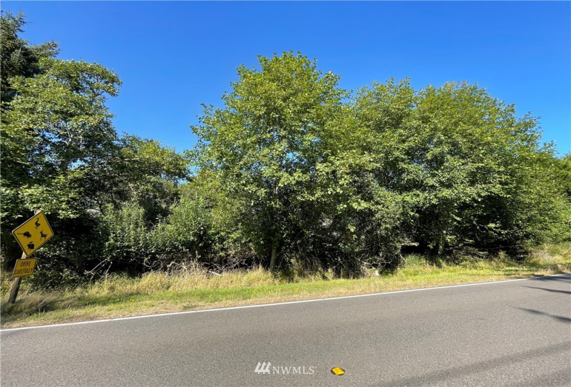 984 Mt Olympus, Ocean Shores, Washington 98569, ,Land,For Sale,15,Mt Olympus,NWM1830917