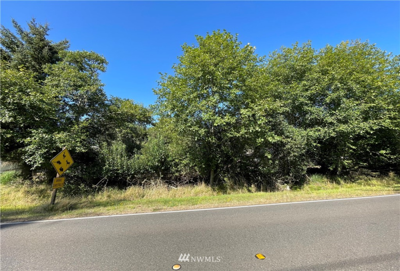 984 Mt Olympus, Ocean Shores, Washington 98569, ,Land,For Sale,15,Mt Olympus,NWM1830917