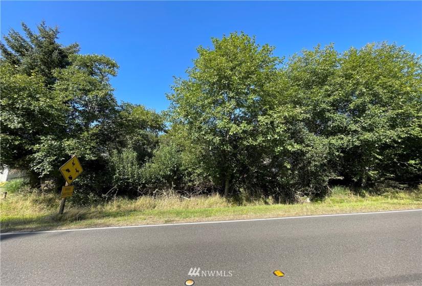 984 Mt Olympus, Ocean Shores, Washington 98569, ,Land,For Sale,15,Mt Olympus,NWM1830917
