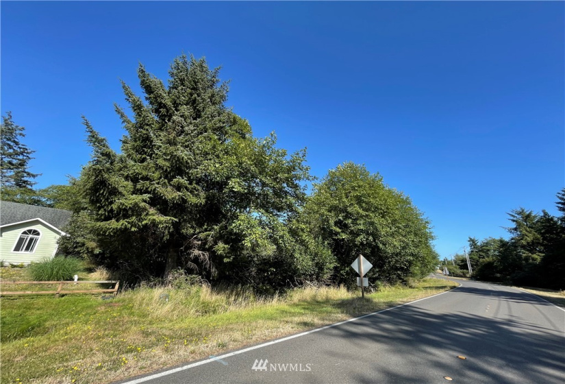 984 Mt Olympus, Ocean Shores, Washington 98569, ,Land,For Sale,15,Mt Olympus,NWM1830917