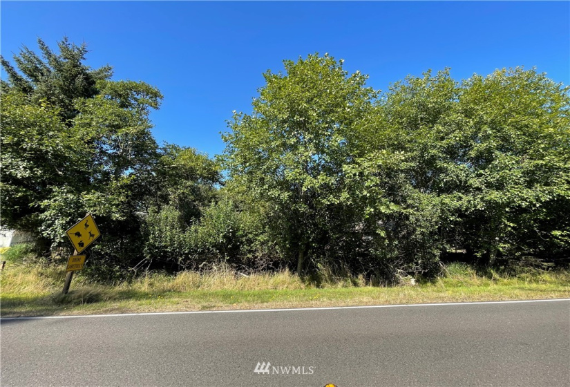 984 Mt Olympus, Ocean Shores, Washington 98569, ,Land,For Sale,15,Mt Olympus,NWM1830917