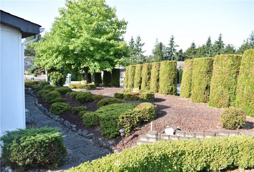 1427 100th, Everett, Washington 98204, 3 Bedrooms Bedrooms, ,1 BathroomBathrooms,Manufactured In Park,For Sale,100th,NWM1830923