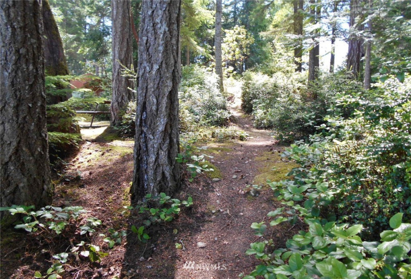 0 Dogwood, Brinnon, Washington 98320, ,Land,For Sale,Pleasant tides,Dogwood,NWM1831013