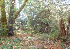 0 Dogwood, Brinnon, Washington 98320, ,Land,For Sale,Pleasant tides,Dogwood,NWM1831013