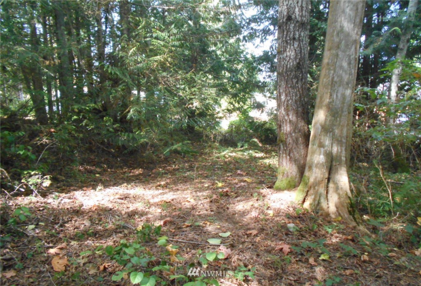 0 Dogwood, Brinnon, Washington 98320, ,Land,For Sale,Pleasant tides,Dogwood,NWM1831013