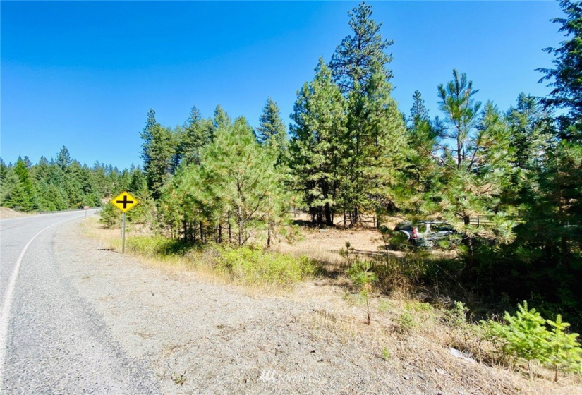 422 W Curlew Lake Rd, Republic, Washington 99166, ,Land,For Sale,W Curlew Lake Rd,NWM1831055