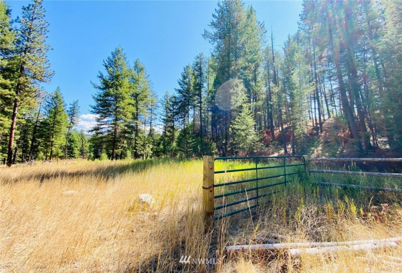 422 W Curlew Lake Rd, Republic, Washington 99166, ,Land,For Sale,W Curlew Lake Rd,NWM1831055