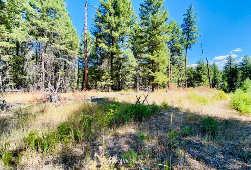 422 W Curlew Lake Rd, Republic, Washington 99166, ,Land,For Sale,W Curlew Lake Rd,NWM1831055