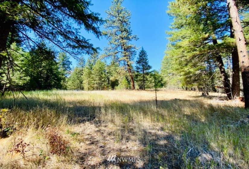 422 W Curlew Lake Rd, Republic, Washington 99166, ,Land,For Sale,W Curlew Lake Rd,NWM1831055