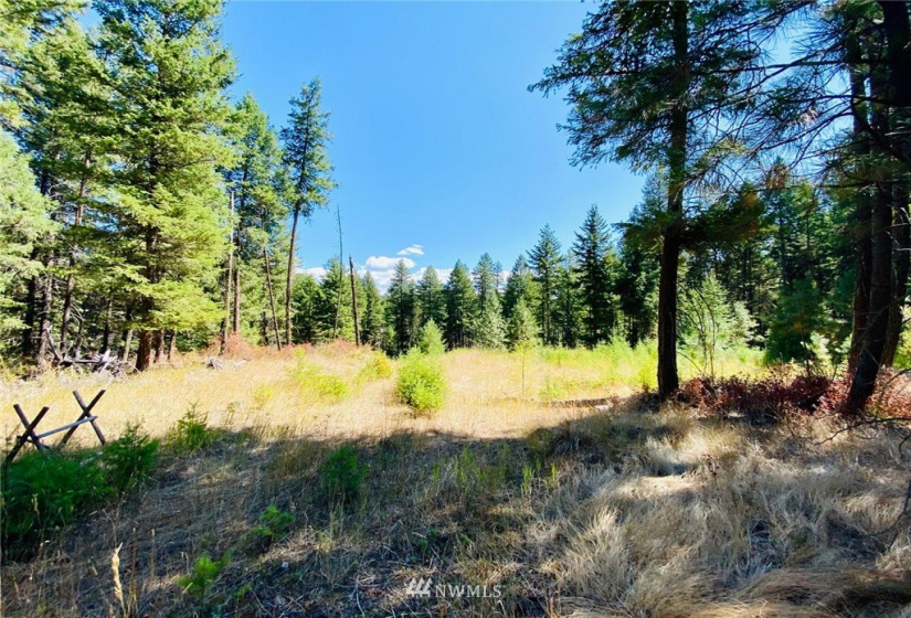 422 W Curlew Lake Rd, Republic, Washington 99166, ,Land,For Sale,W Curlew Lake Rd,NWM1831055