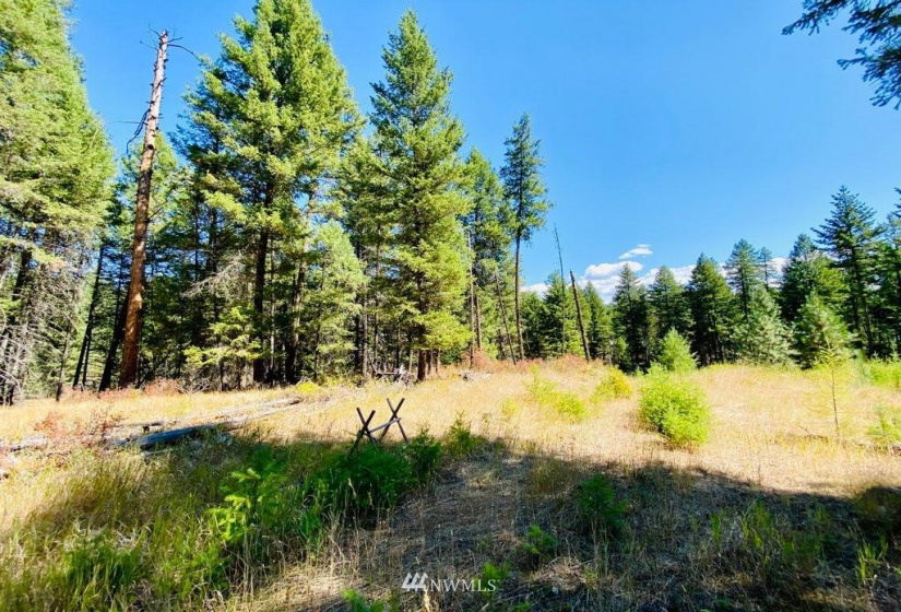 422 W Curlew Lake Rd, Republic, Washington 99166, ,Land,For Sale,W Curlew Lake Rd,NWM1831055