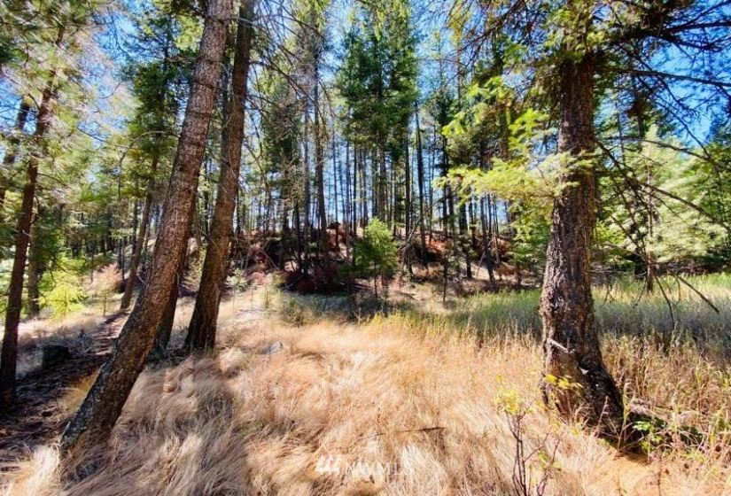 422 W Curlew Lake Rd, Republic, Washington 99166, ,Land,For Sale,W Curlew Lake Rd,NWM1831055