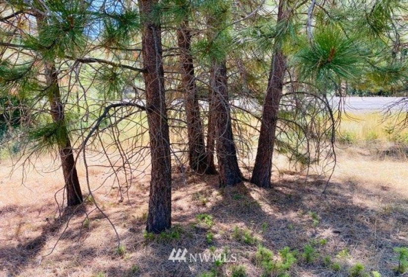 422 W Curlew Lake Rd, Republic, Washington 99166, ,Land,For Sale,W Curlew Lake Rd,NWM1831055