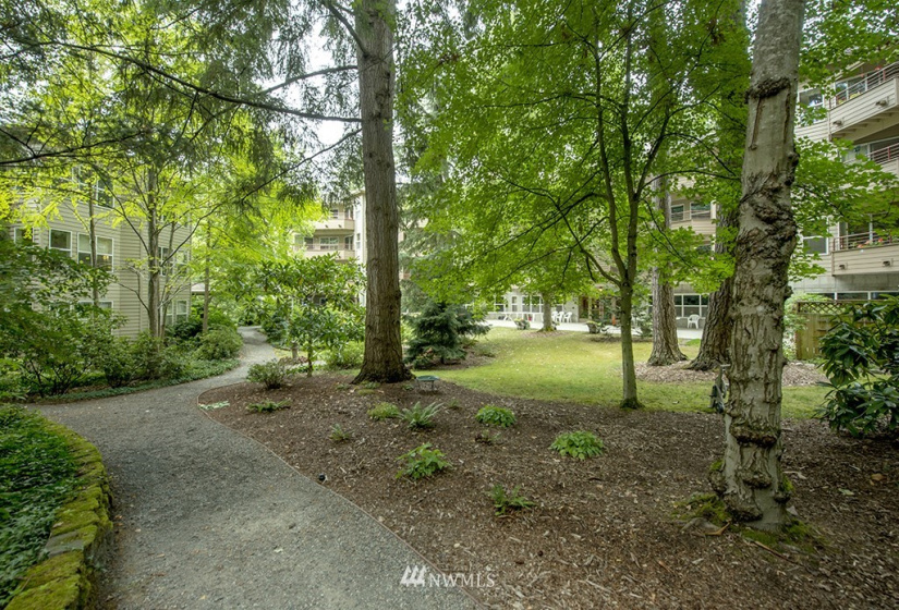 1822 152nd, Bellevue, Washington 98007, 3 Bedrooms Bedrooms, ,1 BathroomBathrooms,Residential,For Sale,Silver Glen,152nd,NWM1829715