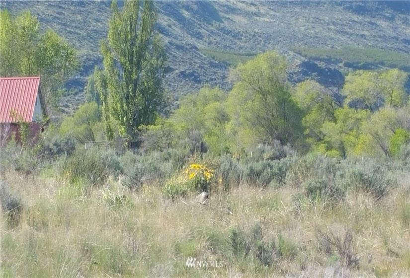 111 Jefferson, Bridgeport, Washington 98812, ,Land,For Sale,Jefferson,NWM1828810