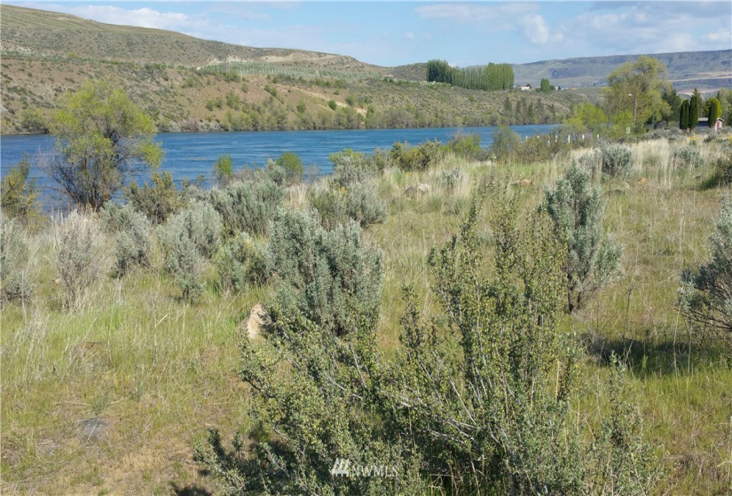 111 Jefferson, Bridgeport, Washington 98812, ,Land,For Sale,Jefferson,NWM1828810