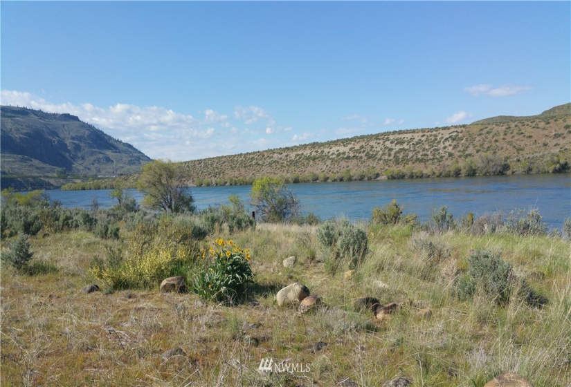 111 Jefferson, Bridgeport, Washington 98812, ,Land,For Sale,Jefferson,NWM1828810