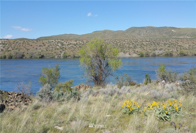 111 Jefferson, Bridgeport, Washington 98812, ,Land,For Sale,Jefferson,NWM1828810