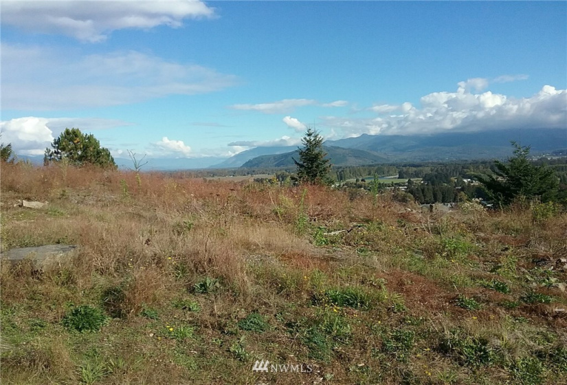 890 Burlington Heights, Burlington, Washington 98233, ,Land,For Sale,Tinas Coma,Burlington Heights,NWM1831374