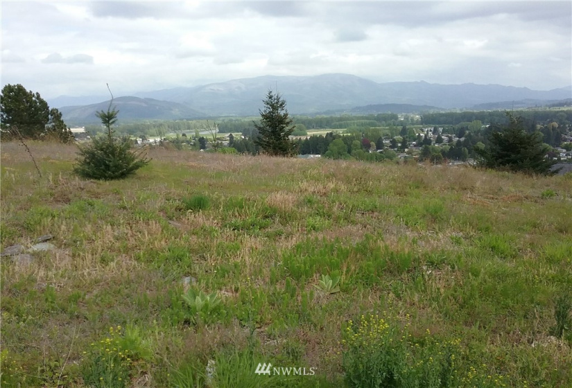 890 Burlington Heights, Burlington, Washington 98233, ,Land,For Sale,Tinas Coma,Burlington Heights,NWM1831374