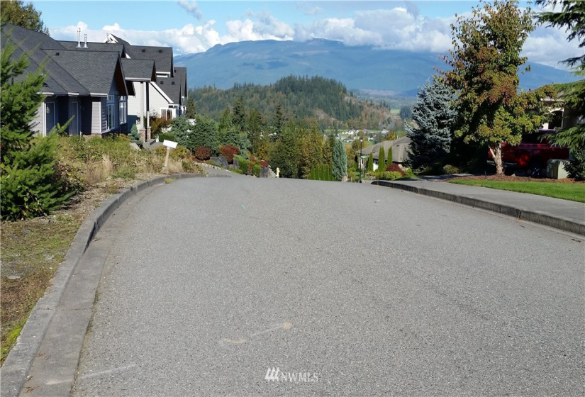 890 Burlington Heights, Burlington, Washington 98233, ,Land,For Sale,Tinas Coma,Burlington Heights,NWM1831374