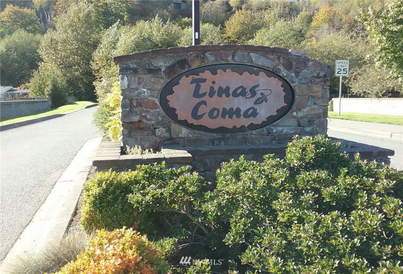 890 Burlington Heights, Burlington, Washington 98233, ,Land,For Sale,Tinas Coma,Burlington Heights,NWM1831374