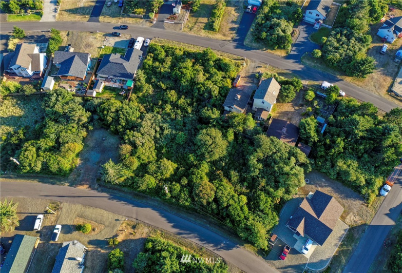 184 Razor Clam, Ocean Shores, Washington 98569, ,Land,For Sale,Razor Clam,NWM1830817
