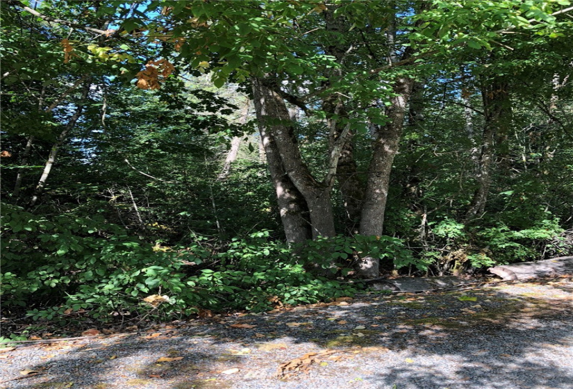 280 132nd, Kent, Washington 98042, ,Land,For Sale,132nd,NWM1831421