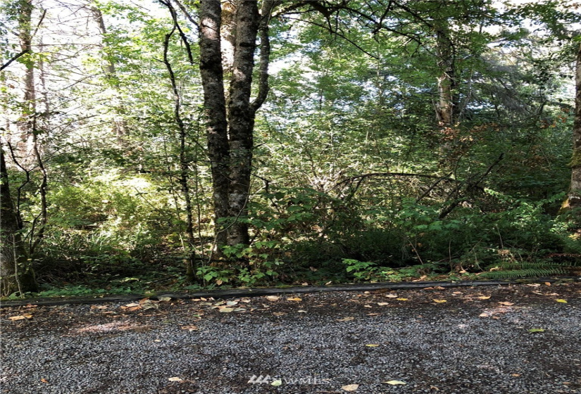 280 132nd, Kent, Washington 98042, ,Land,For Sale,132nd,NWM1831421