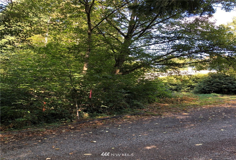 280 132nd, Kent, Washington 98042, ,Land,For Sale,132nd,NWM1831421