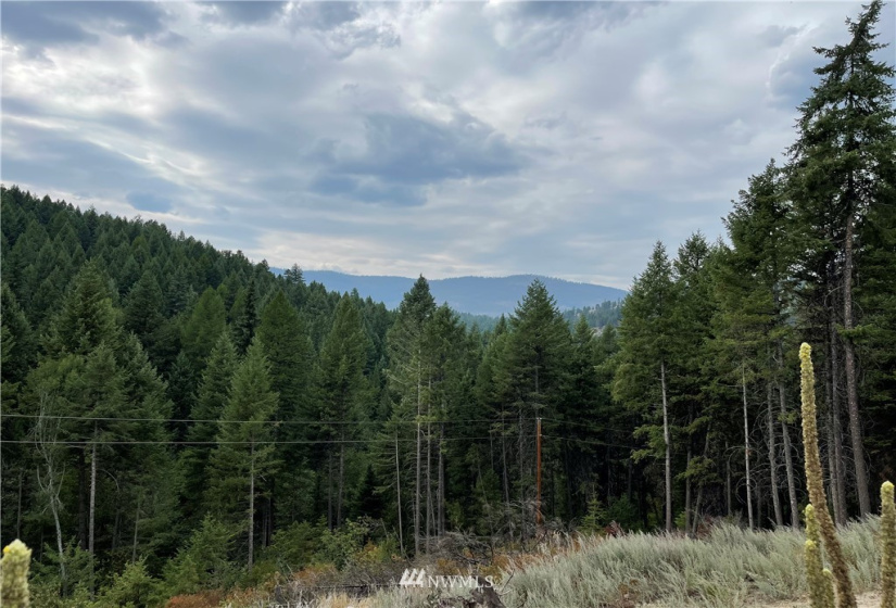 57 Slippery Hill, Republic, Washington 99166, 3 Bedrooms Bedrooms, ,1 BathroomBathrooms,Residential,For Sale,Slippery Hill,NWM1831147